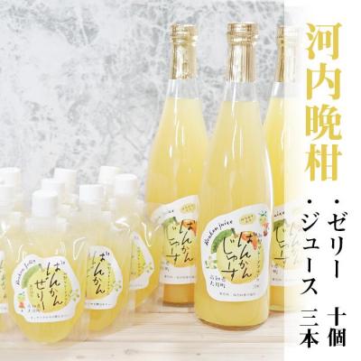 ふるさと納税 大月町 [高知県大月町産]ばんかんじゅーす3本・ばんかんぜりー10個セット