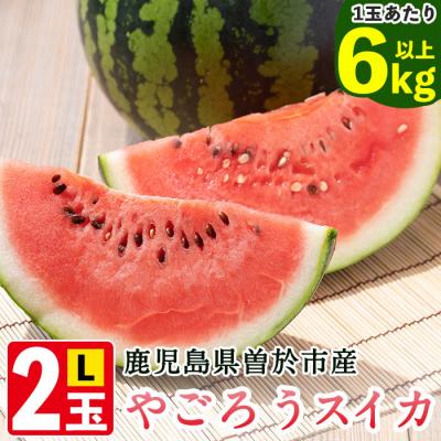 ふるさと納税 曽於市 やごろうスイカ[L玉(6kg以上)×2個]