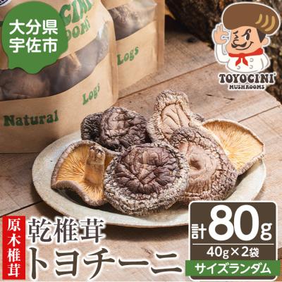 ふるさと納税 宇佐市 乾椎茸 トヨチーニ・サイズランダム(計80g・40g×2袋)[110300401][松重 拓志]