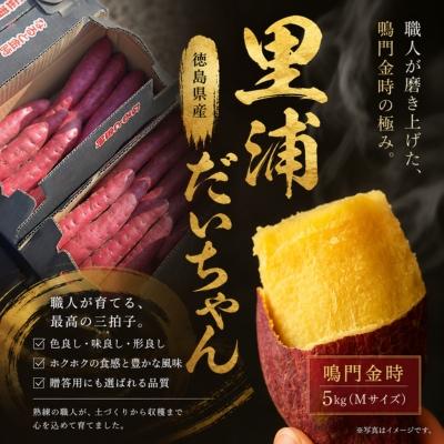 ふるさと納税 鳴門市 [先行受付中・2026年10月下旬頃より順次発送]里浦だいちゃん 5kg
