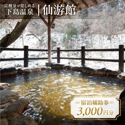 ふるさと納税 下呂市 下島温泉[仙游館]宿泊補助券(3,000円分)旅館 温泉 旅行 下呂市 宿泊券 [a026-1]