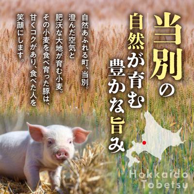 ふるさと納税 当別町 浅野農場厳選豚肉ブロック食べ比べセット【6ヶ月