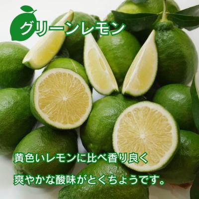 ふるさと納税 愛南町 訳ありレモン ( グリーンレモン ) 1kg りのか 種なし ノーワックス 愛南町 みかん職人武田屋 |  | 02