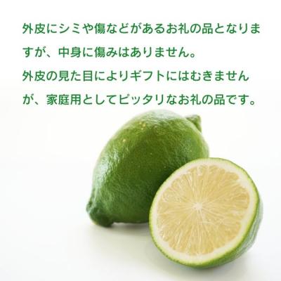 ふるさと納税 愛南町 訳あり レモン ( グリーンレモン ) 3kg ノーワックス 種なし 愛南町 みかん職人武田屋 |  | 01