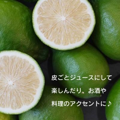 ふるさと納税 愛南町 訳あり レモン ( グリーンレモン ) 3kg ノーワックス 種なし 愛南町 みかん職人武田屋 |  | 03