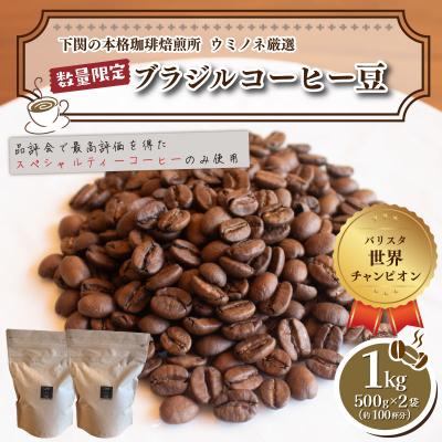 ふるさと納税 下関市 訳あり コーヒー豆(ブラジル レッド カトゥアイ) 500g×2袋 EW155-A