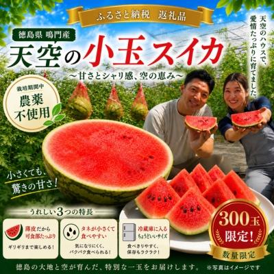 ふるさと納税 鳴門市 天空のスイカ 1玉