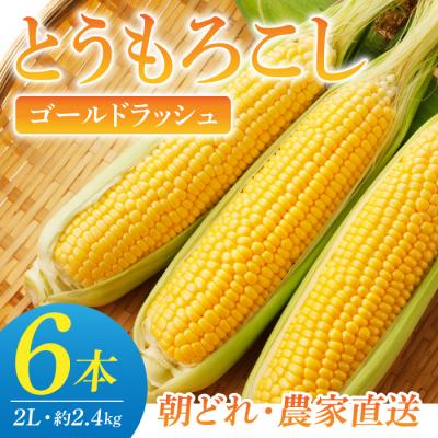 ふるさと納税 東御市 [先行受付2026年発送]農家直送!とうもろこし(ゴールドラッシュ)6本|小林菜園