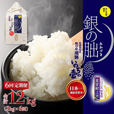 ふるさと納税 下呂市 (2026年11月から毎月発送)[定期便]2kg×6回[2026年産]銀の朏[13-27]