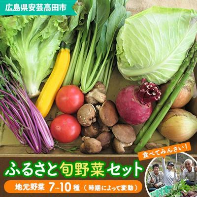 ふるさと納税 安芸高田市 安芸高田市の小さな農家お届けするふるさと旬野菜セット[No5895-0194]