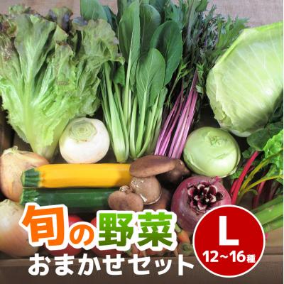 ふるさと納税 安芸高田市 旬の野菜[L]セット[No5895-0458]