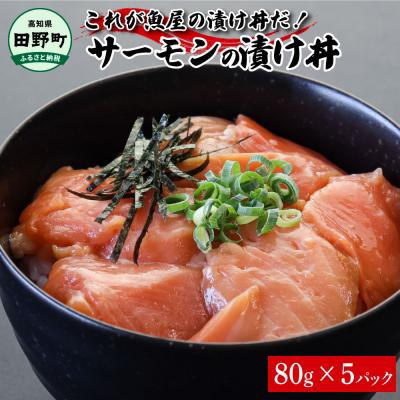 ふるさと納税 田野町 [四国一小さなまち]これが魚屋の漬け丼だ!〜サーモン〜 80g×5P