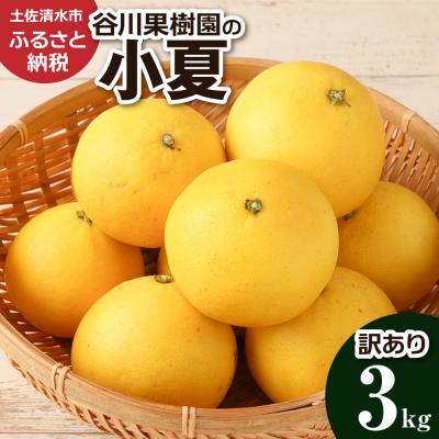 ふるさと納税 土佐清水市 < 訳あり>小夏 3kg 日向夏 みかん 自宅用 高知[R01146]