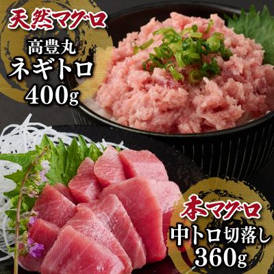 ふるさと納税 室戸市 天然本まぐろ中トロ刺身と天然まぐろネギトロセット