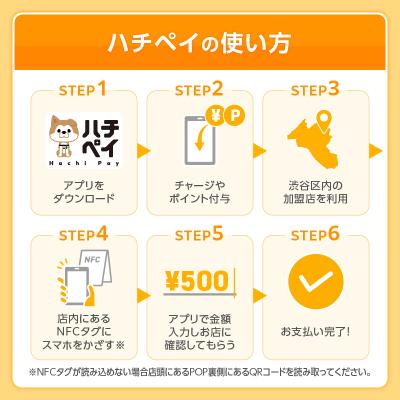 ふるさと納税 渋谷区 渋谷区デジタル地域通貨「ハチペイ」9,000円分 【109002】 |  | 02