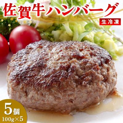 ふるさと納税 神埼市 レンジで簡単調理!佐賀牛ハンバーグ(生冷凍)(H106201)