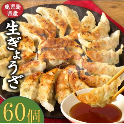 ふるさと納税 薩摩川内市 鹿児島 生 ぎょうざ 60個 セット 餃子 ギョウザ 小分け