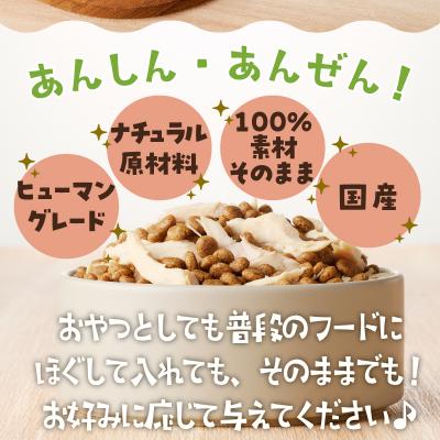 ふるさと納税 焼津市 わんこ様用5点セット(a10-1057)の画像