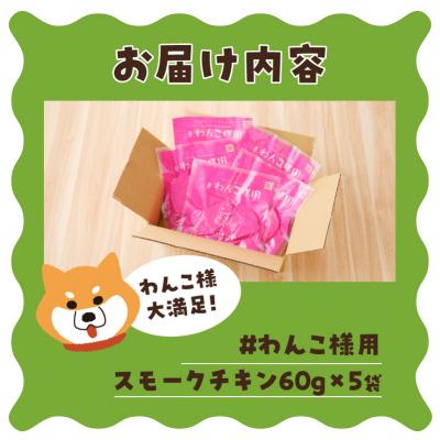 ふるさと納税 焼津市 わんこ様用5点セット(a10-1057)の画像