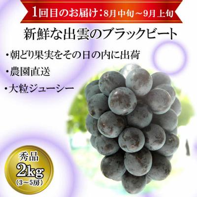 ふるさと納税 出雲市 [2026年8月中旬以降発送][2回定期便][農家直送]厳選シャインマスカットとブラックビートの定期