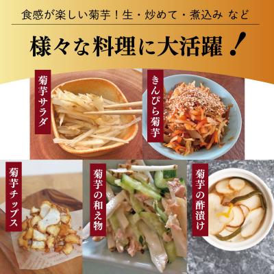 ふるさと納税 明和町 生 菊芋 1kg E1227 |  | 03