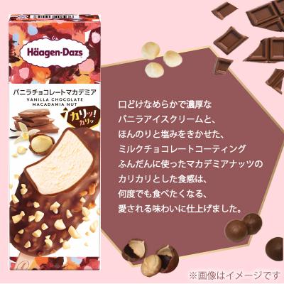 ふるさと納税 松前町 ハーゲンダッツ バー セット 12本入 バニラ