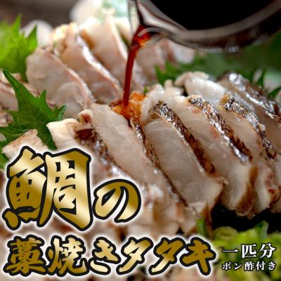 ふるさと納税 大月町 鯛の藁焼きタタキ 1匹分 460g以上 真鯛 鯛 タイ 刺身 ぽん酢付 配達日指定可 高知県大月町