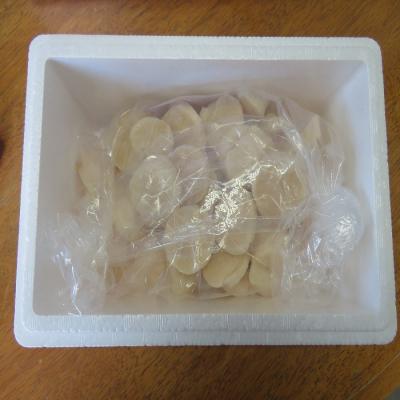 ふるさと納税 根室市 生冷凍ホタテ貝柱800g×1P B-59019の画像