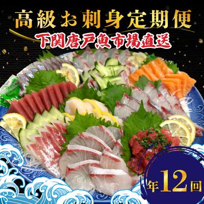 ふるさと納税 下関市 【定期便年12回】 唐戸市場直送 高級お刺身 各2人前 毎月発送 冷凍 真空 鮮魚 EY025-x | 