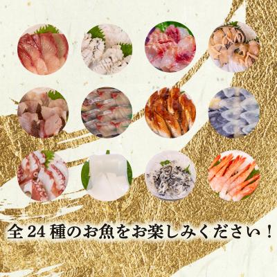 ふるさと納税 下関市 【定期便年12回】 唐戸市場直送 高級お刺身 各2人前 毎月発送 冷凍 真空 鮮魚 EY025-x |  | 02