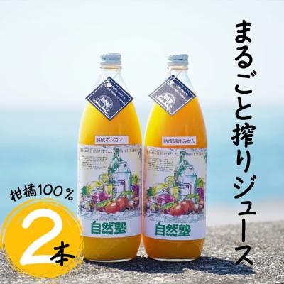 ふるさと納税 熊野市 13.自然塾 柑橘100%まるごと絞りジュース 2本入り