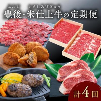 ふるさと納税 豊後高田市 厳選!!豊後・米仕上牛食べ尽し定期便(豊後高田市限定・毎月お届け・4回発送)