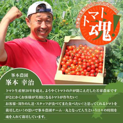 ふるさと納税 土佐清水市 【11月発送】トマト魂!峯本の贅沢フルティカトマト(中玉サイズ)2キロ 【R01032】 |  | 01