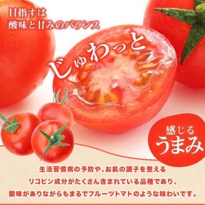 ふるさと納税 土佐清水市 【11月発送】トマト魂!峯本の贅沢フルティカトマト(中玉サイズ)2キロ 【R01032】 |  | 02