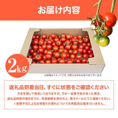 ふるさと納税 土佐清水市 【11月発送】トマト魂!峯本の贅沢フルティカトマト(中玉サイズ)2キロ 【R01032】 |  | 03