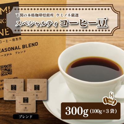 ふるさと納税 下関市 スペシャルティ コーヒー豆セット ブレンド 300g(100g×3袋)