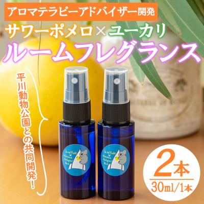 ふるさと納税 いちき串木野市 ルームフレグランス 2本入り 廃棄ユーカリ+サワーポメロブレンド! ルシエルフュゼ