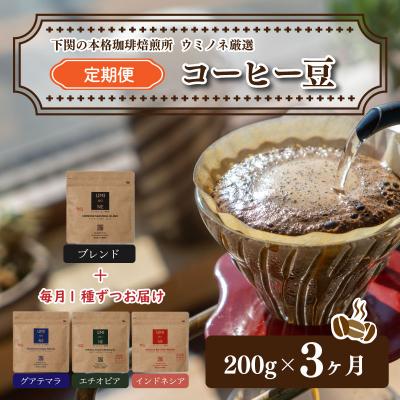 ふるさと納税 下関市 スペシャルティ コーヒー豆 定期便 200g×3回