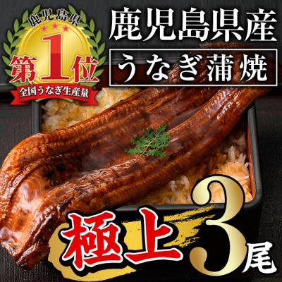 ふるさと納税 曽於市 無投薬!鹿児島県産うなぎ蒲焼セット &lt;極上&gt;(約160〜236g×3尾)タレ・山椒付き