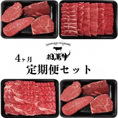 ふるさと納税 西都市 都萬牛[4回定期便]黒毛和牛(ステーキ焼肉すき焼きしゃぶしゃぶ)[2579]