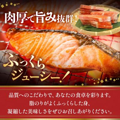 ふるさと納税 石巻市 【訳あり】鮭 銀鮭 切り身 2kg 切身 冷凍 塩鮭 切り身 さけ サケ サーモン 海鮮 魚 |  | 01
