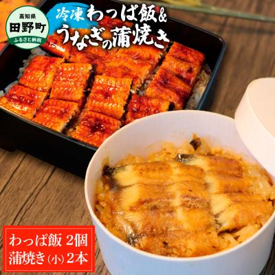 ふるさと納税 田野町 ★四国一小さなまち★田野町産うなぎのわっぱ飯 2個+田野町産うなぎの蒲焼き(小) 2尾セット〜冷凍〜