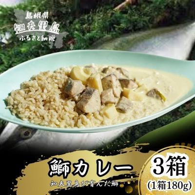 ふるさと納税 知夫村 [漁師直送]隠岐 知夫里島 オリジナル 鰤カレーセット 3食 ココナッツ風味 本格 グリーンカレー