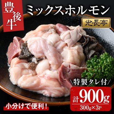 ふるさと納税 宇佐市 豊後牛ミックスホルモンセット 光長亭 特製タレ付[109900500][ショッピングストアー光長]