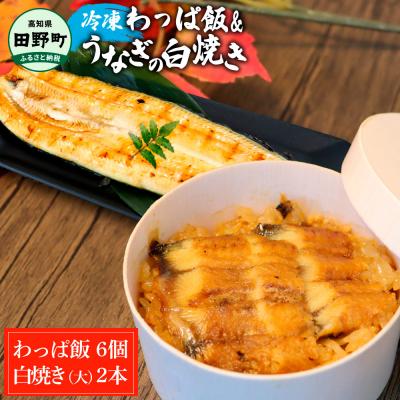 ふるさと納税 田野町 ★四国一小さなまち★田野町産うなぎのわっぱ飯6個+田野町産うなぎの白焼き(大)2尾