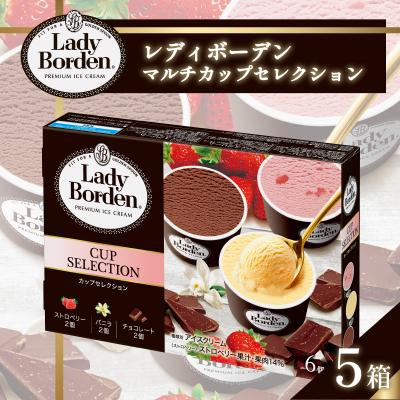 ふるさと納税 松前町 ロッテ レディーボーデン マルチカップセレクション [MNM0022]