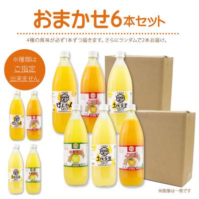 ふるさと納税 土佐清水市 オレンジ園の濃縮ジュース 1L おまかせ6本入 希釈用 みかんジュース チューハイ用【R01127】_2