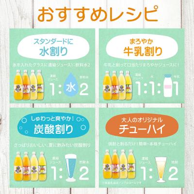 ふるさと納税 土佐清水市 オレンジ園の濃縮ジュース 1L おまかせ6本入 希釈用 みかんジュース チューハイ用【R01127】_3