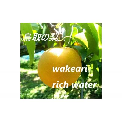 ふるさと納税 鳥取市 訳あり 豊水梨 5kg[まえた農園]
