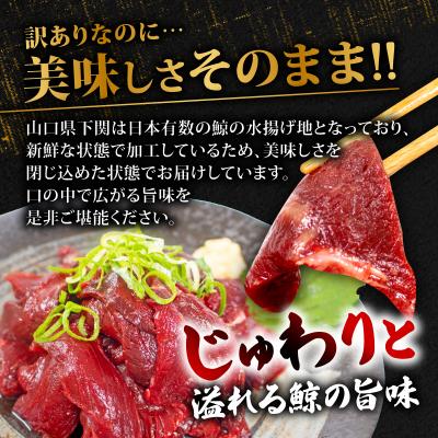 ふるさと納税 下関市 訳あり 鯨 赤身 ブロック 刺身 1kg 冷凍 ( くじら クジラ 赤肉 ) 下関 山口 BY117 |  | 01